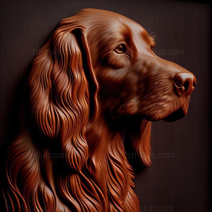 st Irish Red Setter dog